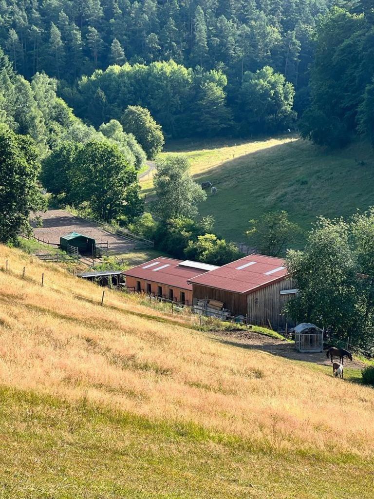 Ferienwohnung Beim Pferdehof Нойенштайн Экстерьер фото